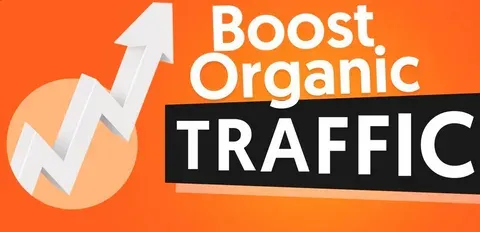 Scaling Organic Traffic to 200K Monthly Visitors